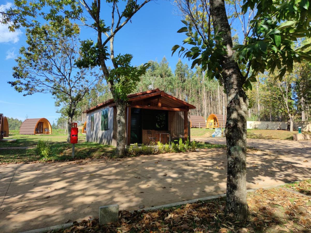 Teiraboa Base Camp Arzua